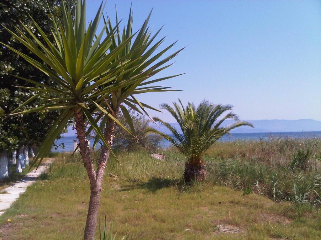 Virginia'S Beachfront Apartments กาวอส ภายนอก รูปภาพ