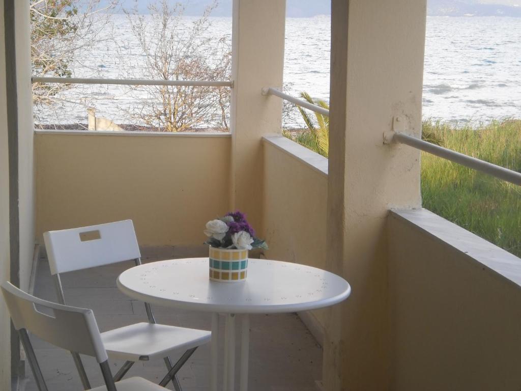 Virginia'S Beachfront Apartments กาวอส ห้อง รูปภาพ